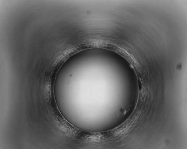 X0000100860306200806271206