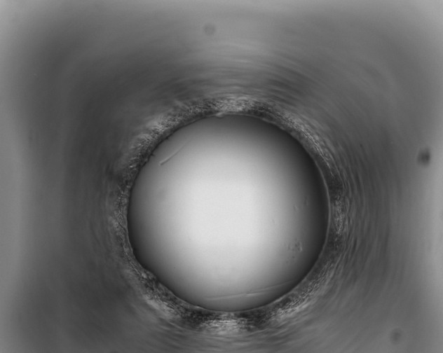 X0000100860307200806271206