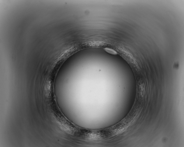 X0000100860308200806271206