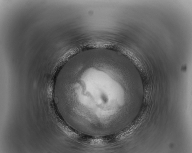 X0000100860309200806271206