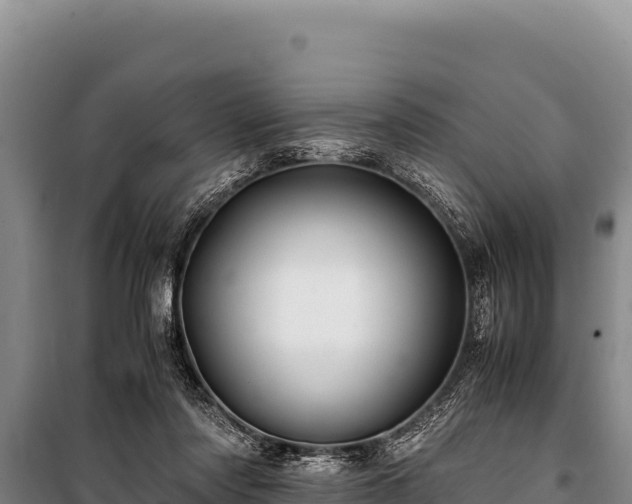 X0000100860310200806271206