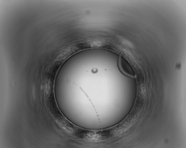 X0000100860311200806271206