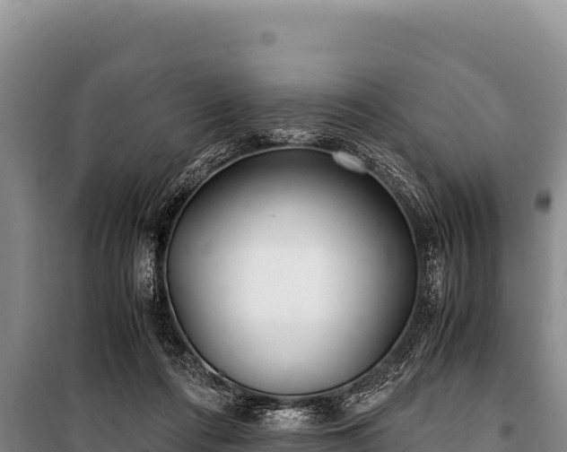 X0000100860312200806271206