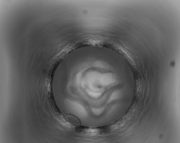 X0000100860313200806271206