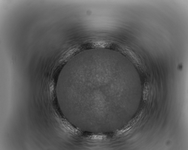 X0000100860314200806271206