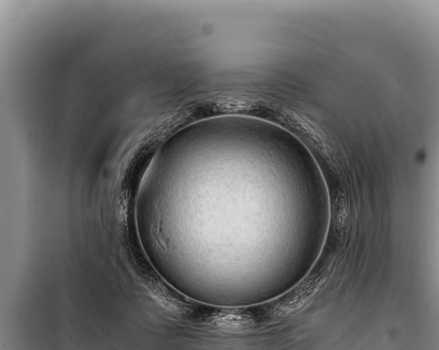 X0000100860315200806271206