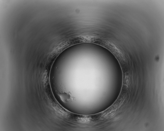 X0000100860318200806271206