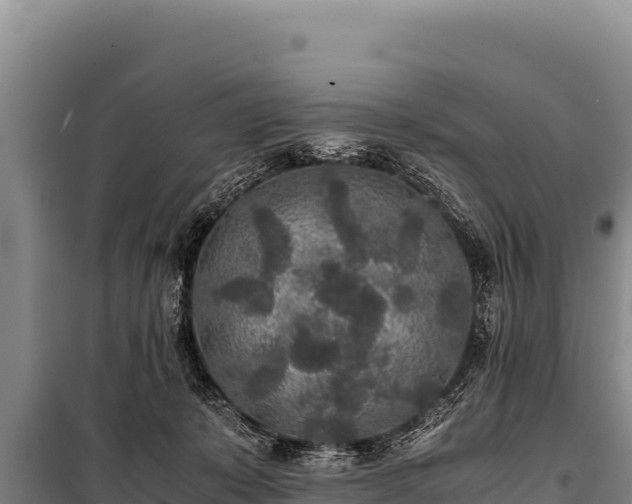 X0000100860319200806271206