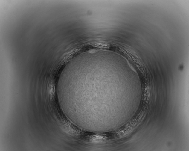 X0000100860320200806271206