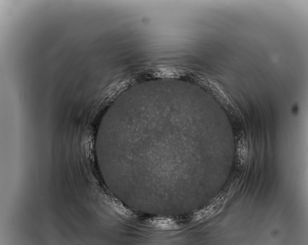 X0000100860322200806271206