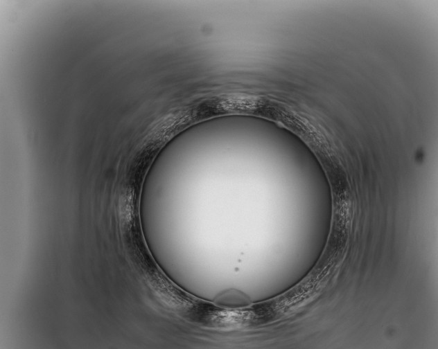 X0000100860323200806271206