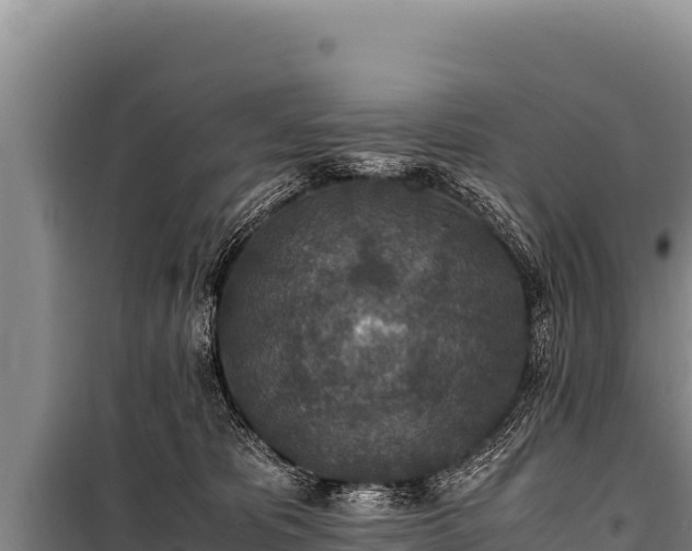 X0000100860325200806271206