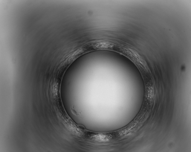 X0000100860326200806271206