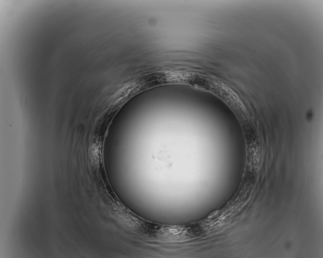 X0000100860329200806271206