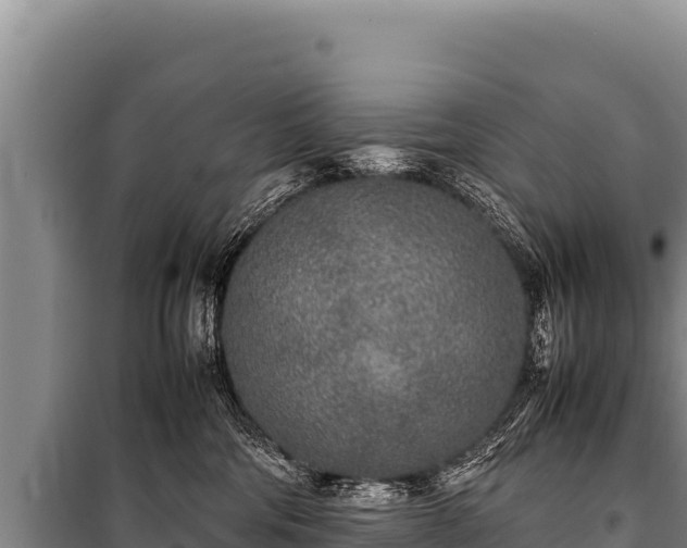 X0000100860330200806271206