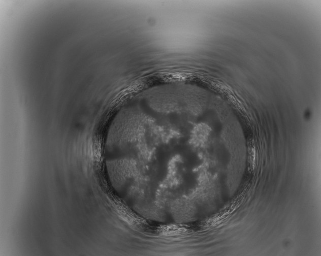 X0000100860331200806271206