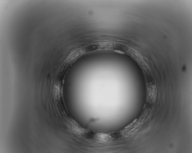 X0000100860333200806271206