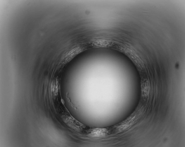 X0000100860334200806271206