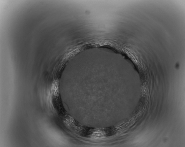 X0000100860335200806271206