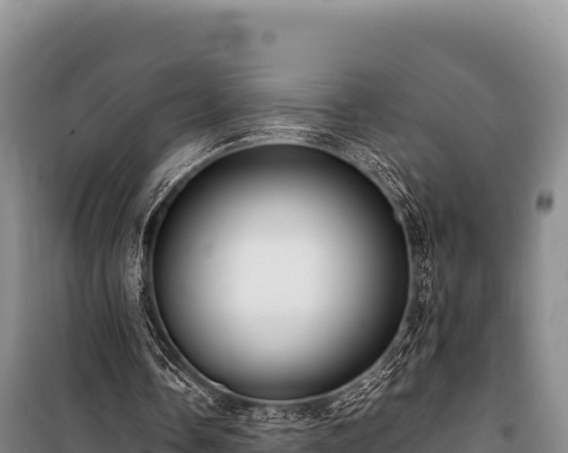 X0000100860338200806271205