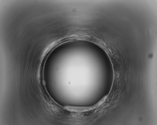 X0000100860340200806271205