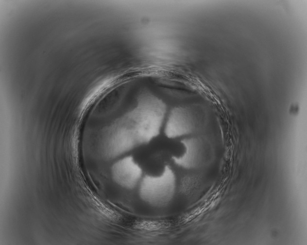 X0000100860341200806271205