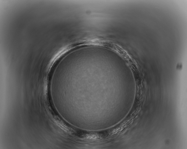 X0000100860344200806271205