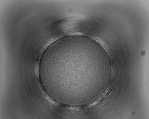 X0000100860345200806271205