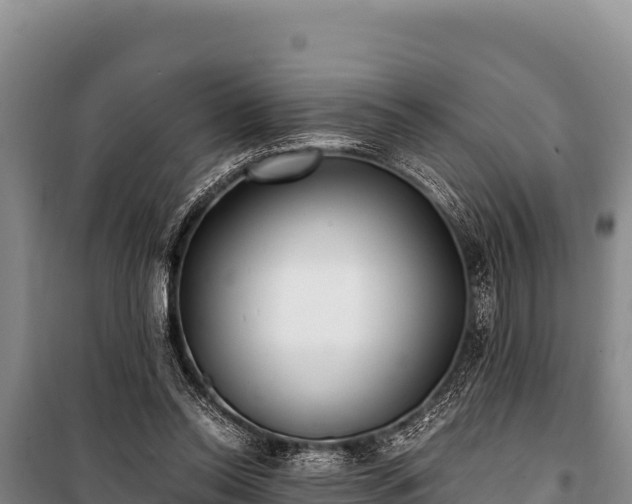 X0000100860350200806271205