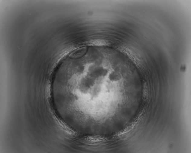 X0000100860351200806271205