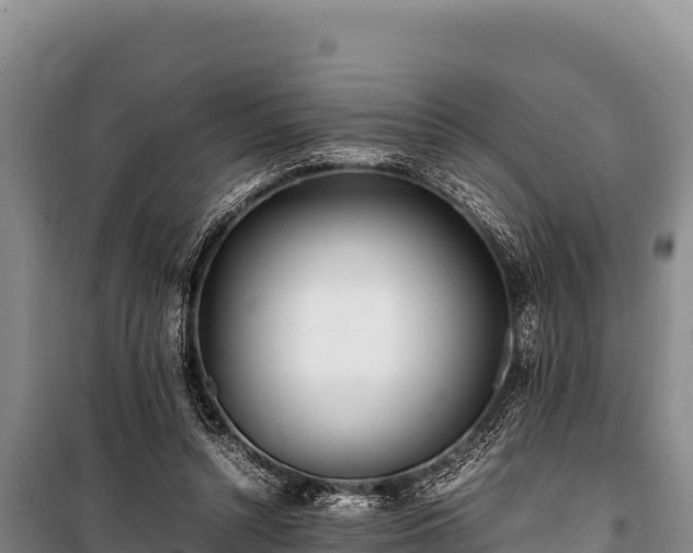 X0000100860352200806271205