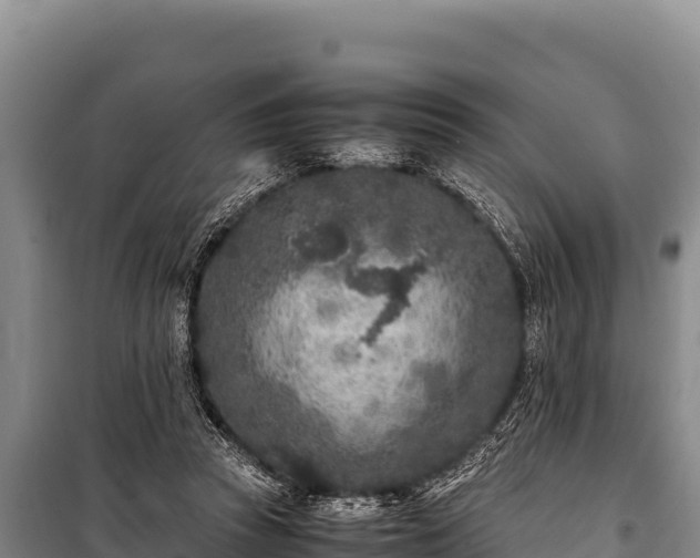 X0000100860353200806271205