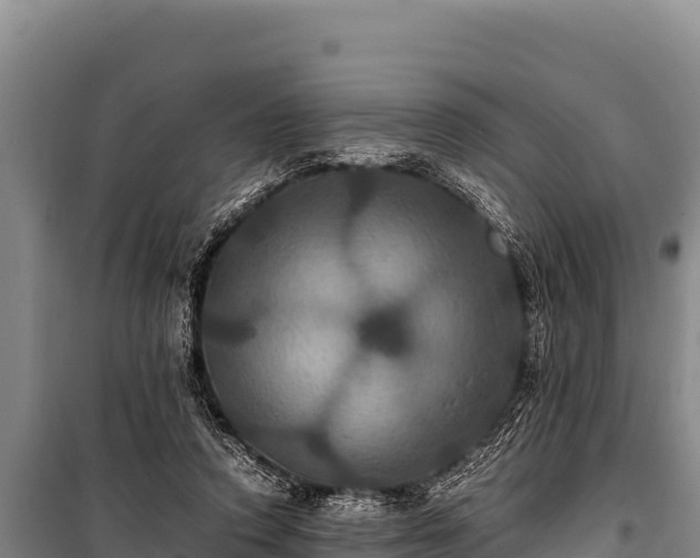 X0000100860354200806271205