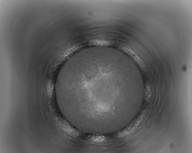 X0000100860355200806271205