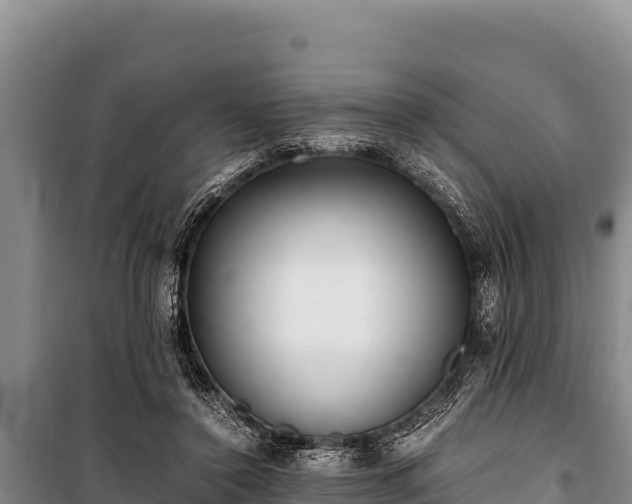 X0000100860356200806271205