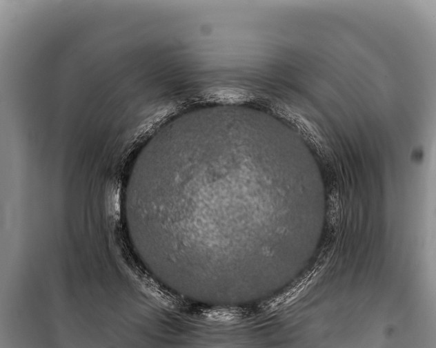 X0000100860358200806271205