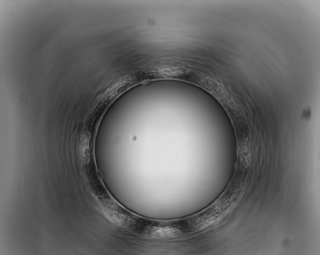 X0000100860360200806271205