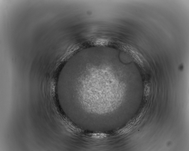 X0000100860363200806271205