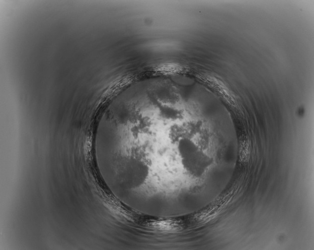 X0000100860365200806271205