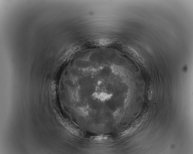 X0000100860366200806271205