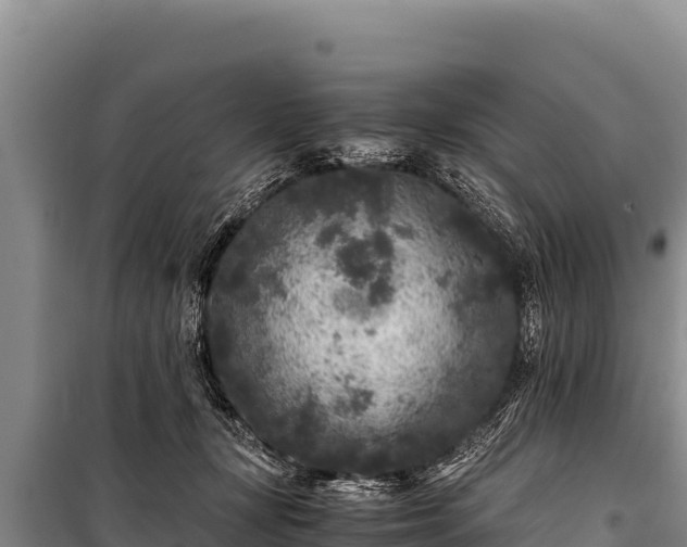 X0000100860367200806271205