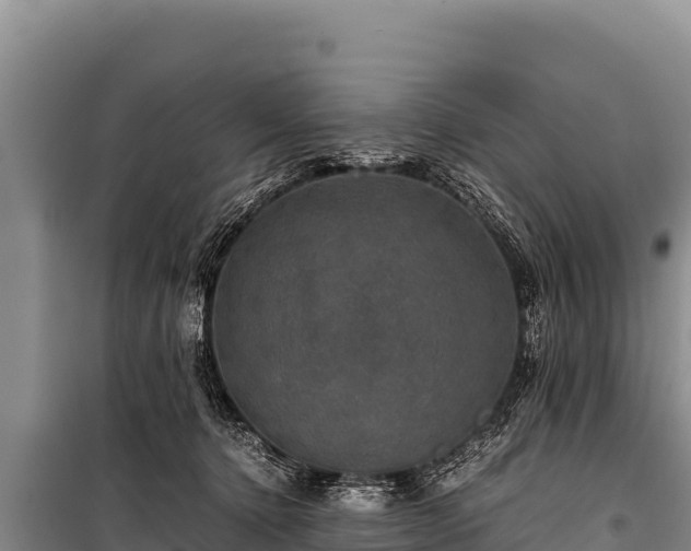 X0000100860368200806271205