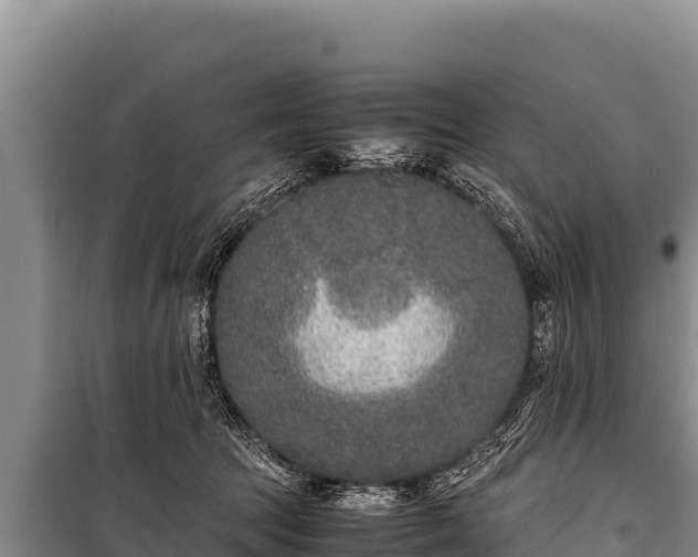 X0000100860369200806271205