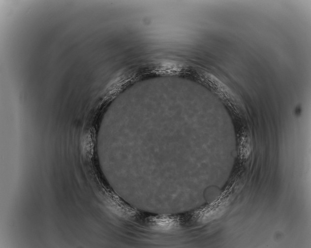 X0000100860370200806271205