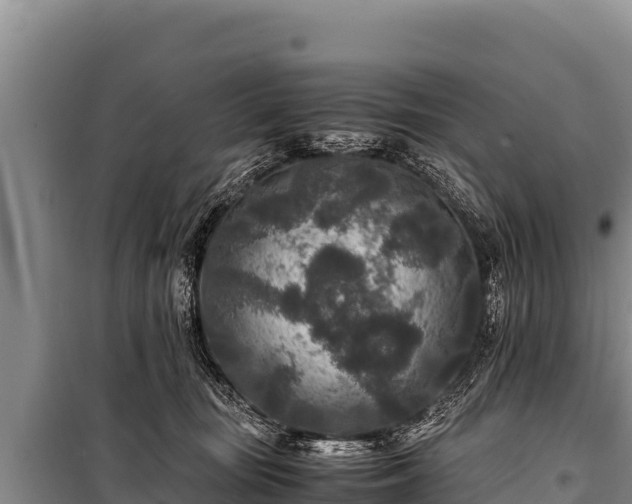 X0000100860371200806271205