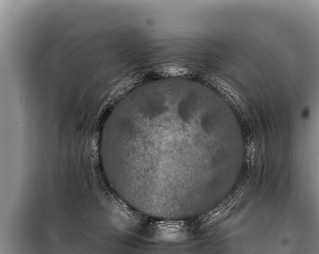 X0000100860373200806271205