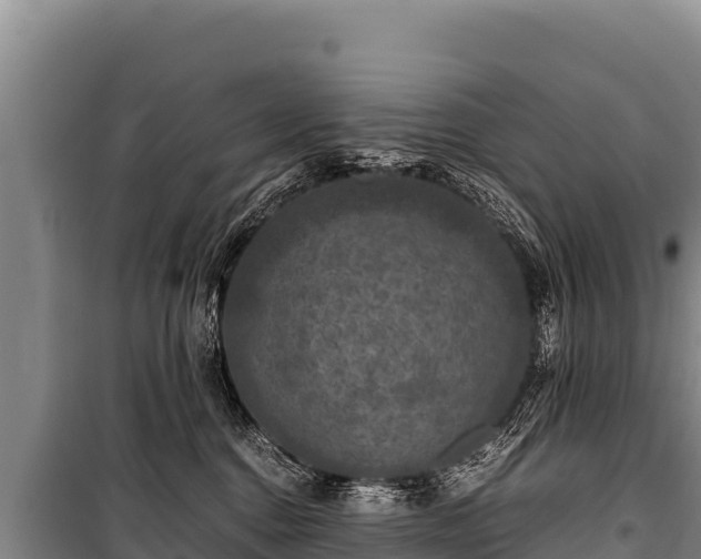 X0000100860376200806271205