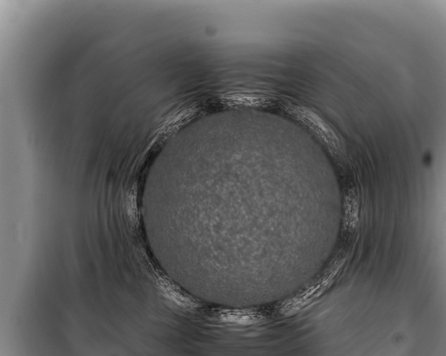 X0000100860377200806271205