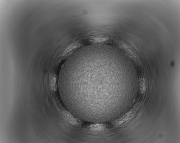 X0000100860378200806271205