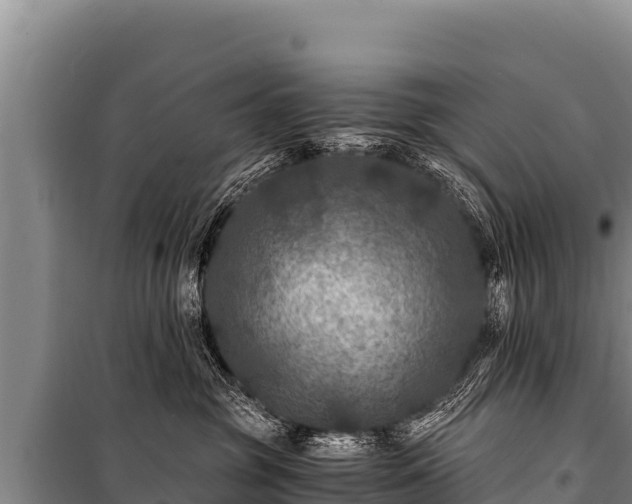 X0000100860381200806271205